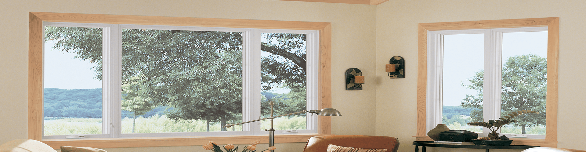 Micro Specials Banner